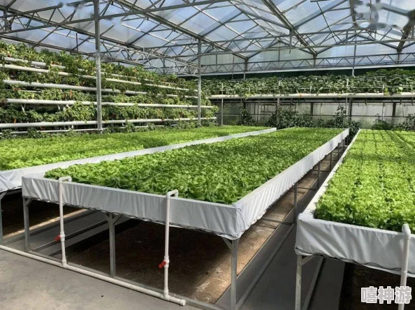 51爆料 - 每日爆料 吃瓜热门 就在51爆料网! 这是一个专注于分享最新热点事件和趣闻的平台，用户可以随时获取最热的八卦信息与社会动态