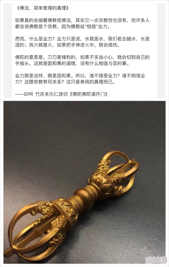 肉莲花法器图片真实照片大全：详尽收录各类肉莲花法器的高清实拍图及其背后的文化意义与使用方法解析