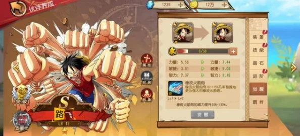草帽航海团英雄强度排行：最强角色推荐与详细解析